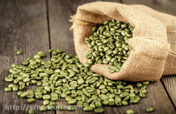 Thành phần Green Coffee Bean